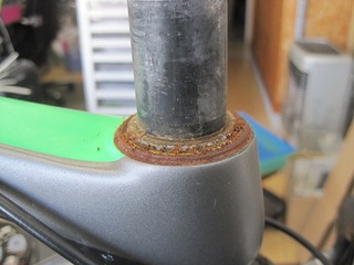 IMG_2075.jpg
